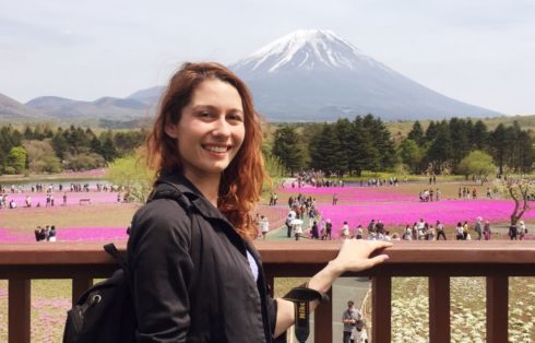 Fuji Sibazakura warmcheaptrips