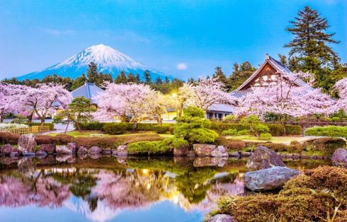 Book Mt Fuji Famous Food Tour with Transportation