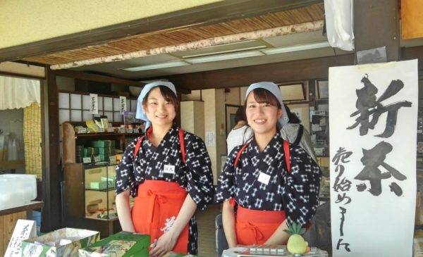 Matcha Kyoto Green Tea Tour