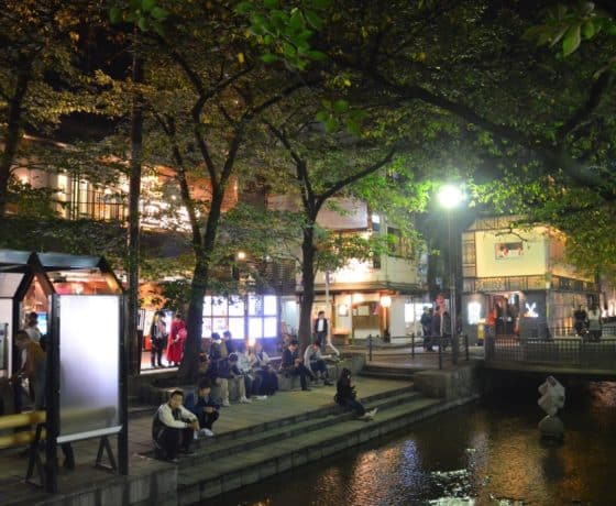 Kyoto Casual Evening Pontocho Food Tour