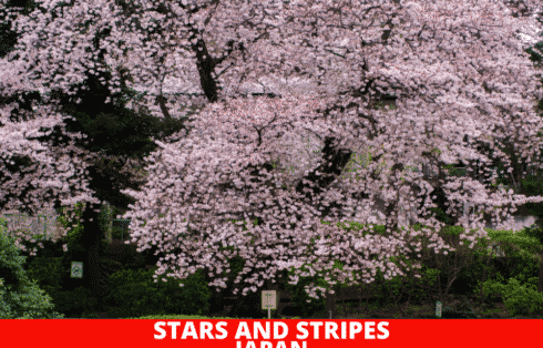 StarsandStripesJapan321