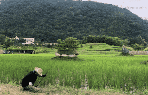 La Collina Omihachiman