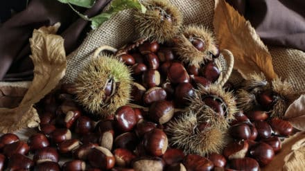 Chestnuts