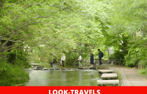 Look-Travels22222