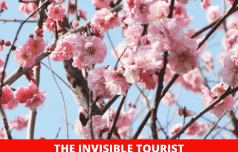 TheInvisibleTourist4322