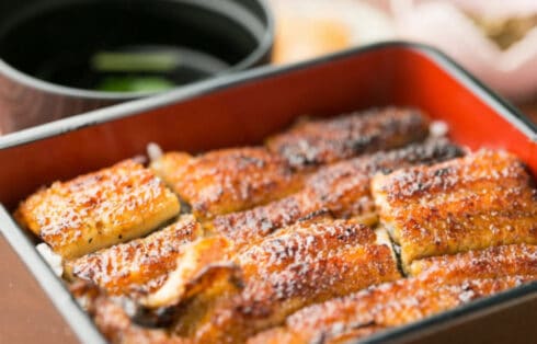 unagi