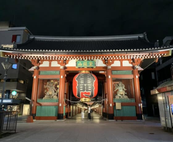 Asakusa Twilight Food Tour